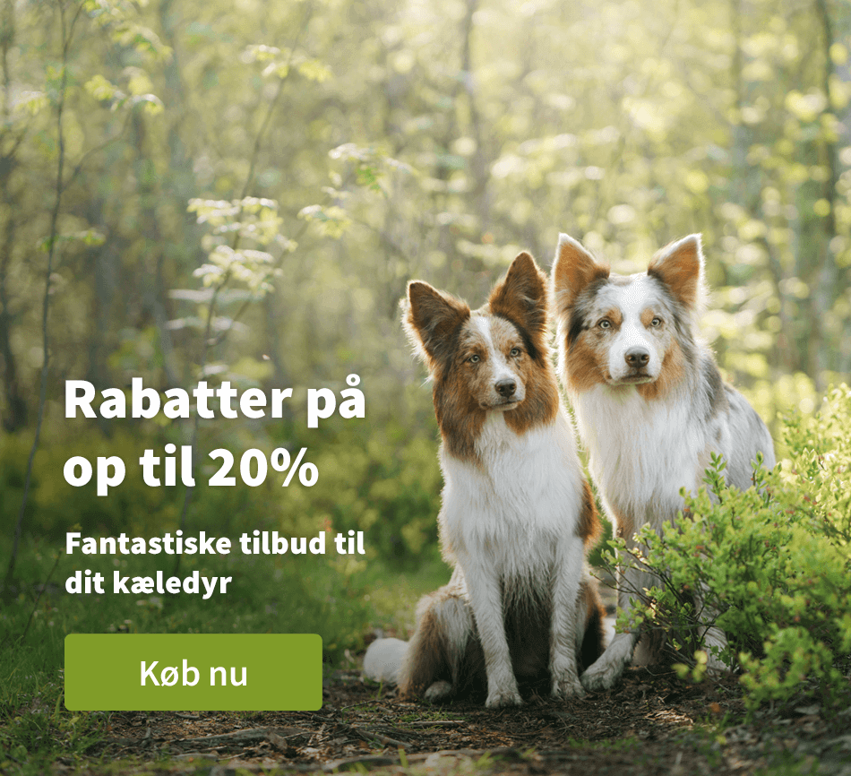 Rabatter pa op til 20% - Fantastiske tilbud til dit kaeledyr 