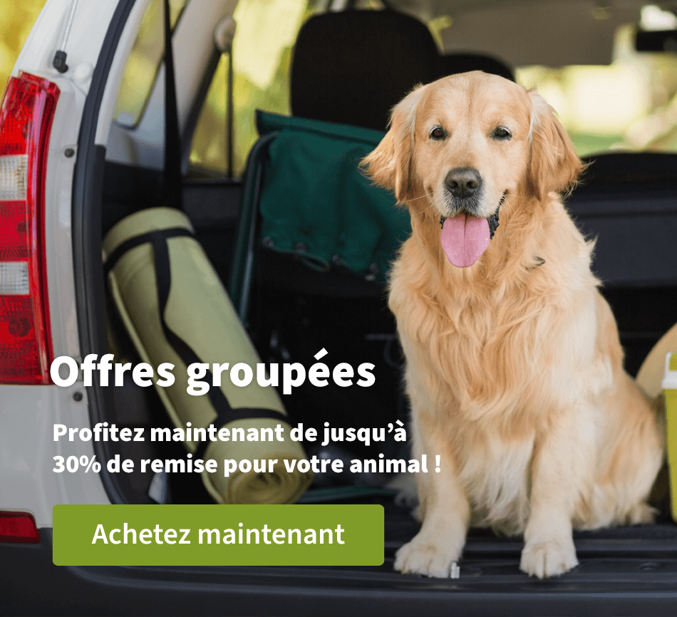 Offres groupées - Profitez maintenant de jusqu'à 30 % de remise pour votre animal ! 