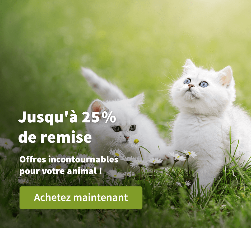 Jusqu'à 25 % de remise - Offres incontournables pour votre animal ! 