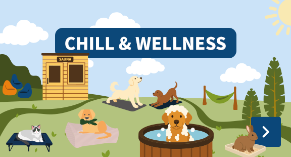 Chill & Wellness