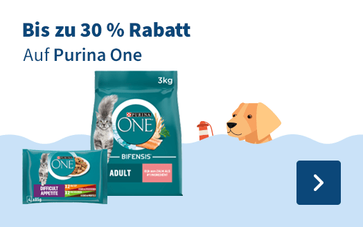 Purina ONE 