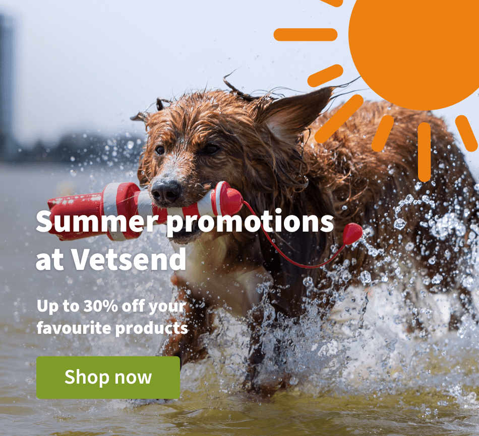 Summer promotions at Vetsend - Up to 30% off your favorite products