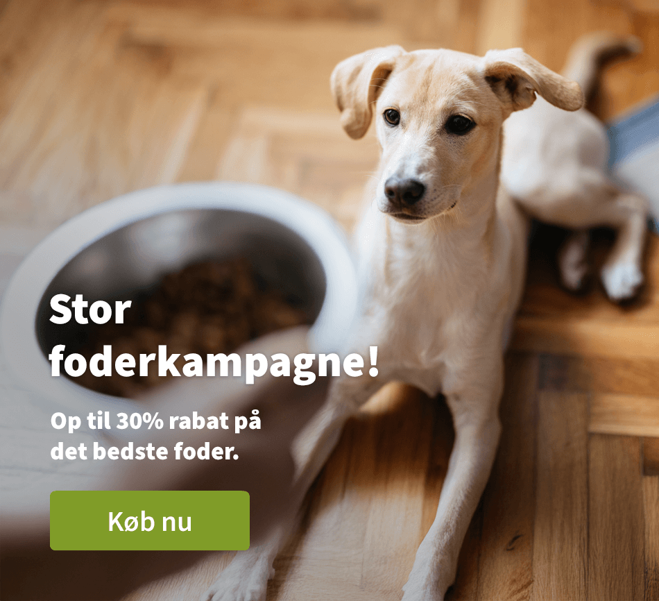 Stor foderkampagne! - Op til 30% rabat pa det bedste foder