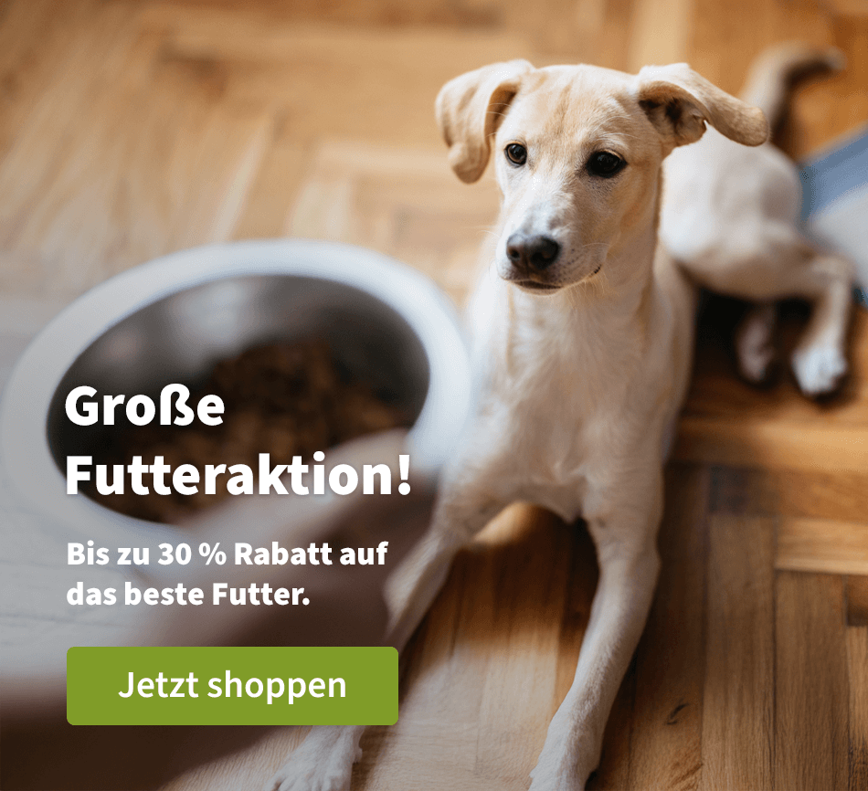 Große Futteraktion! - Bis zu 30 % Rabatt auf das beste Futter