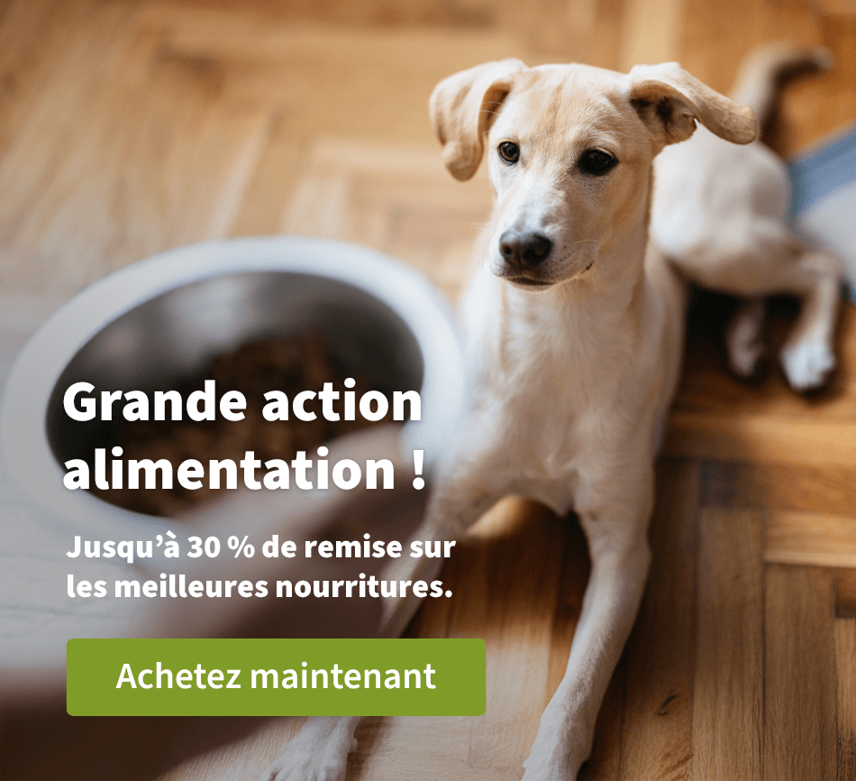 Grande action alimentation ! - Jusqu'à 30 % de remise sur les meilleurs nourritures 