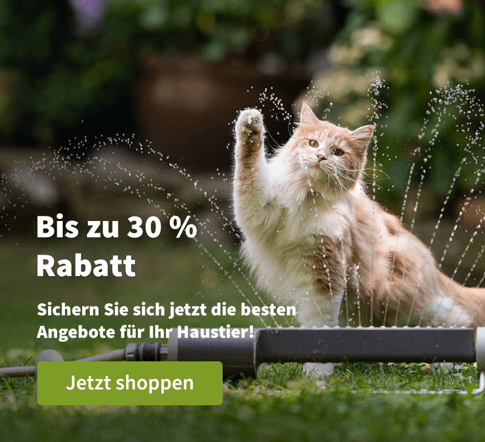 Bis zu 30 % Rabatt - Sichern Sie sich jetzt die besten Angebote für Ihr Haustier!