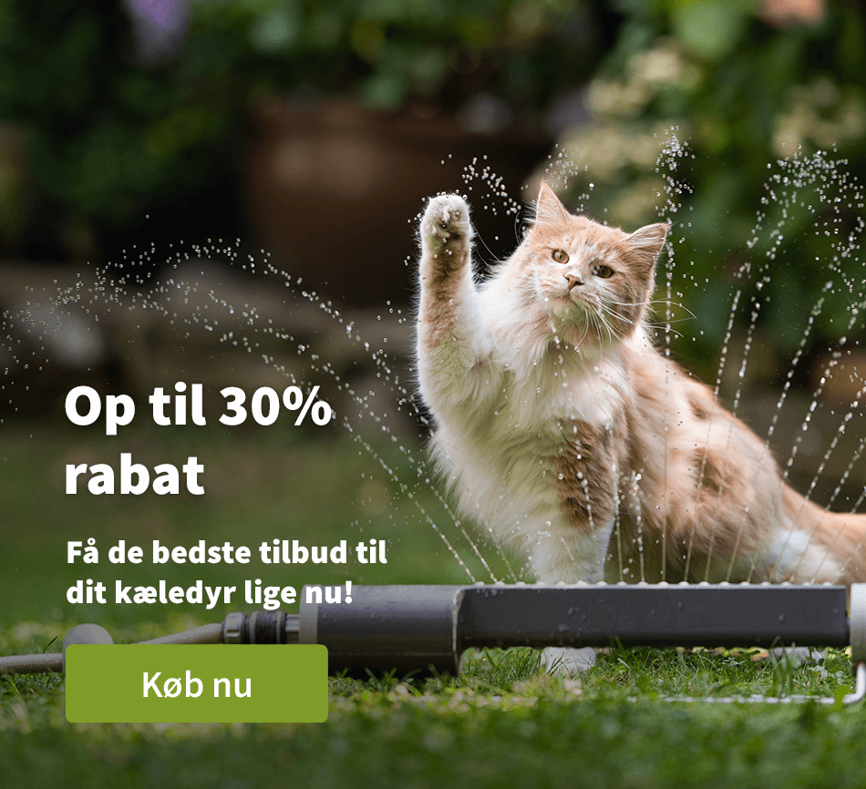 Op til 30% rabat - Fa de bedste tilbud til dit kaeledyr lige nu!