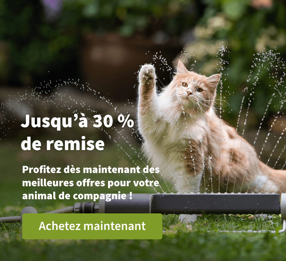 Jusqu'à 30 % de remise - Profitez dès maintenant des meilleures offres pour votre animal de compagnie !