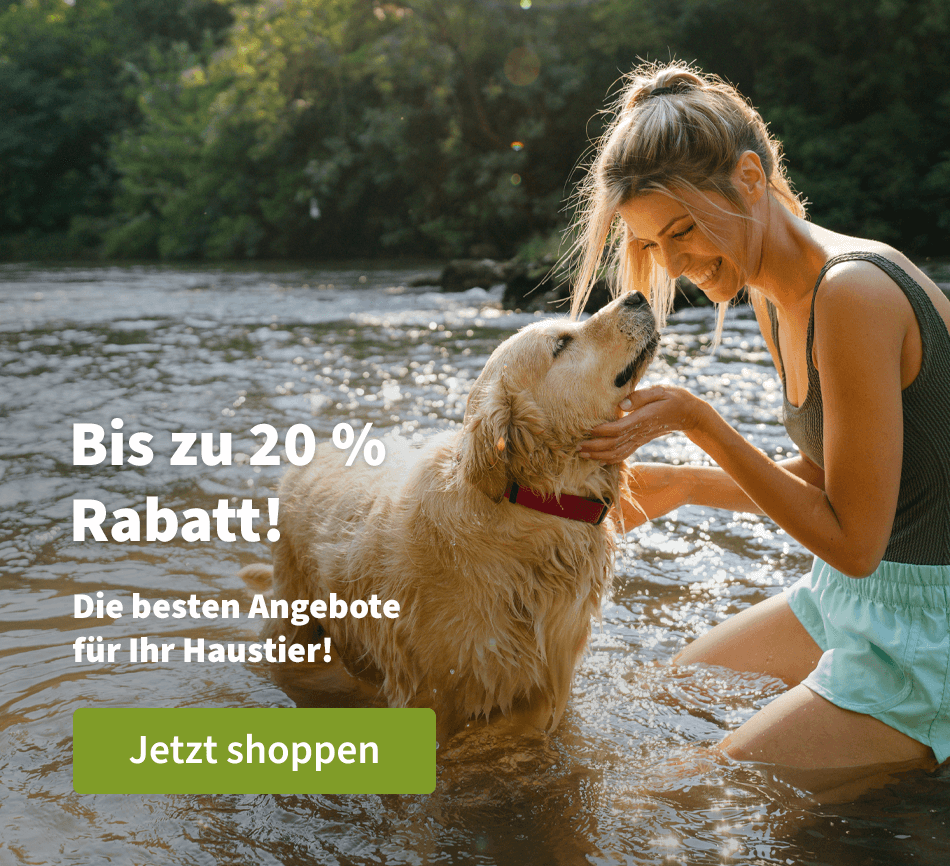 Bis zu 20 % Rabatt! - Die besten Angebote für Ihr Haustier!