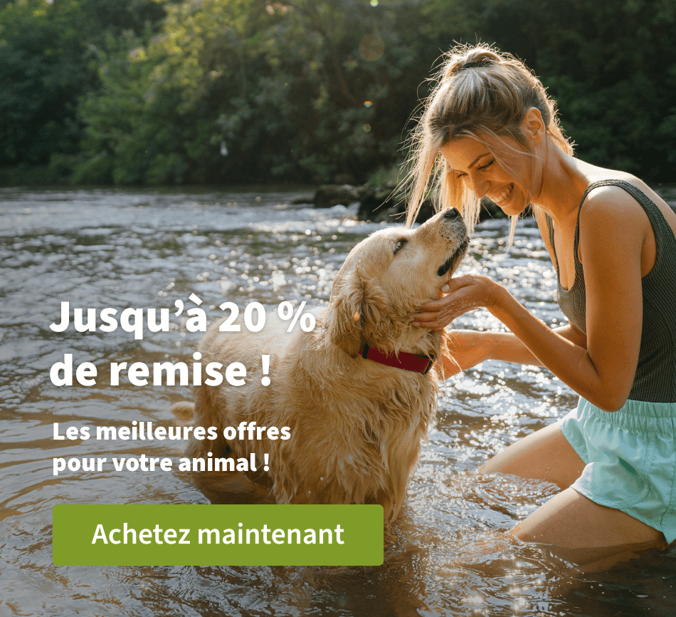 Jusqu'à 20 % de remise ! - Les meilleures offres pour votre animal ! 