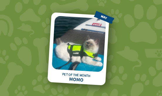 pet of the month - may