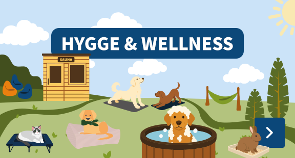 hygge & wellness
