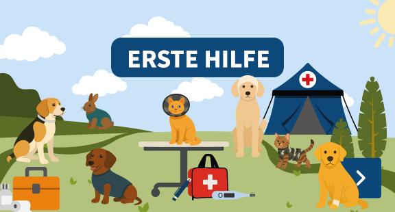 Erste Hilfe