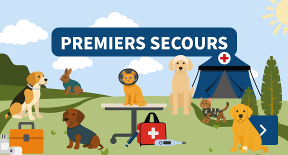 premiers secours