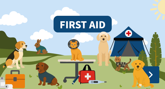 first aid