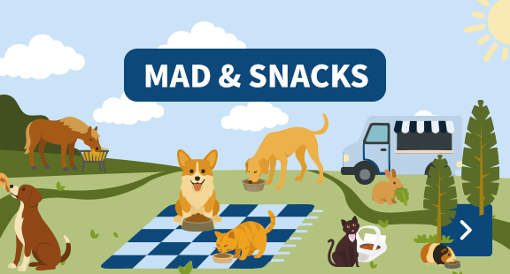 mad & snacks