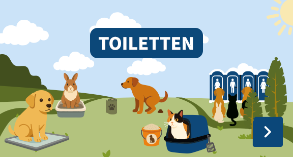 Toiletten