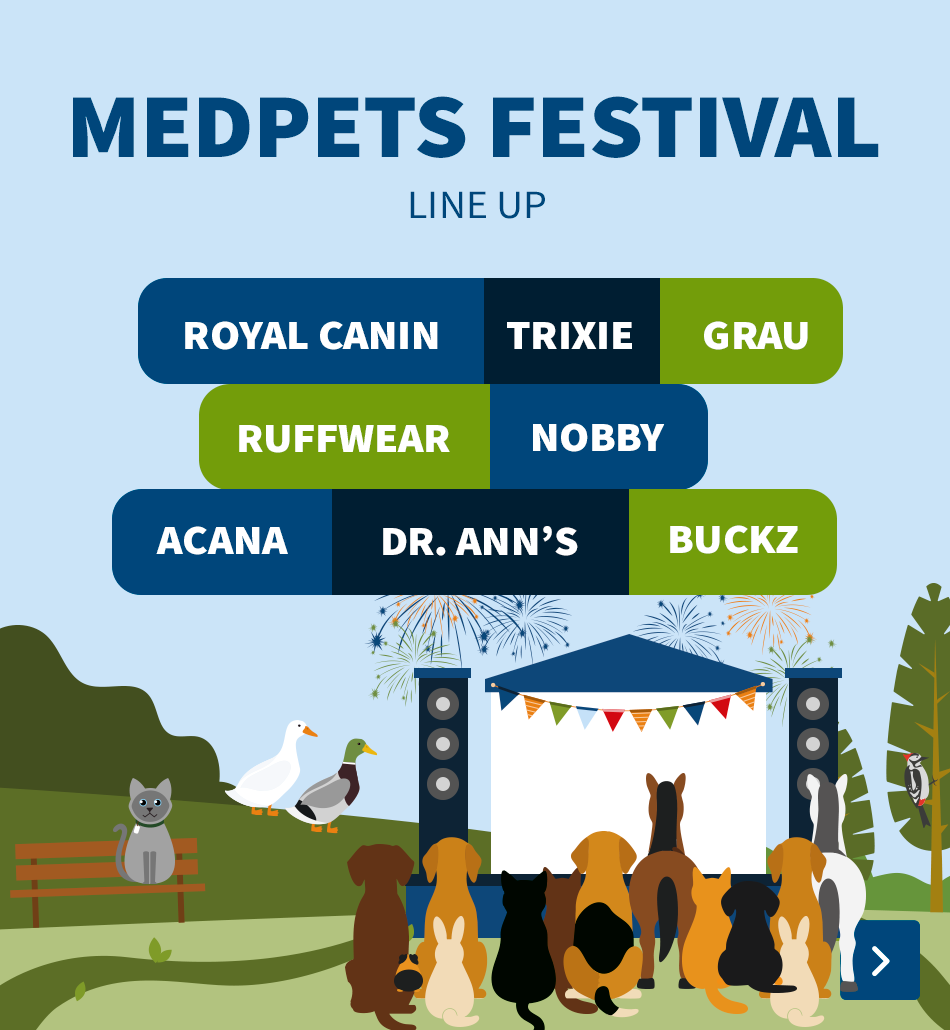 Festival