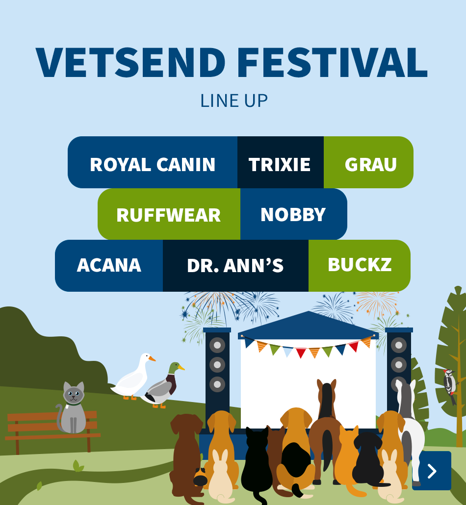 Festival