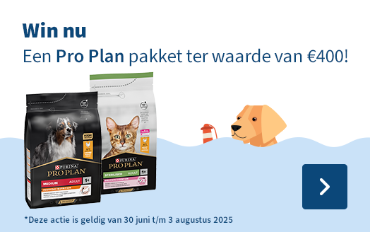Pro Plan