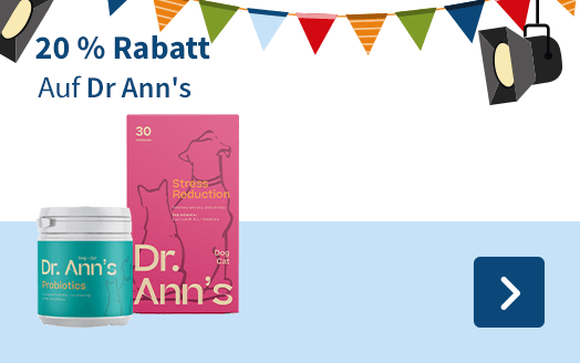 Dr. Ann's