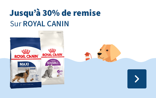 Royal Canin