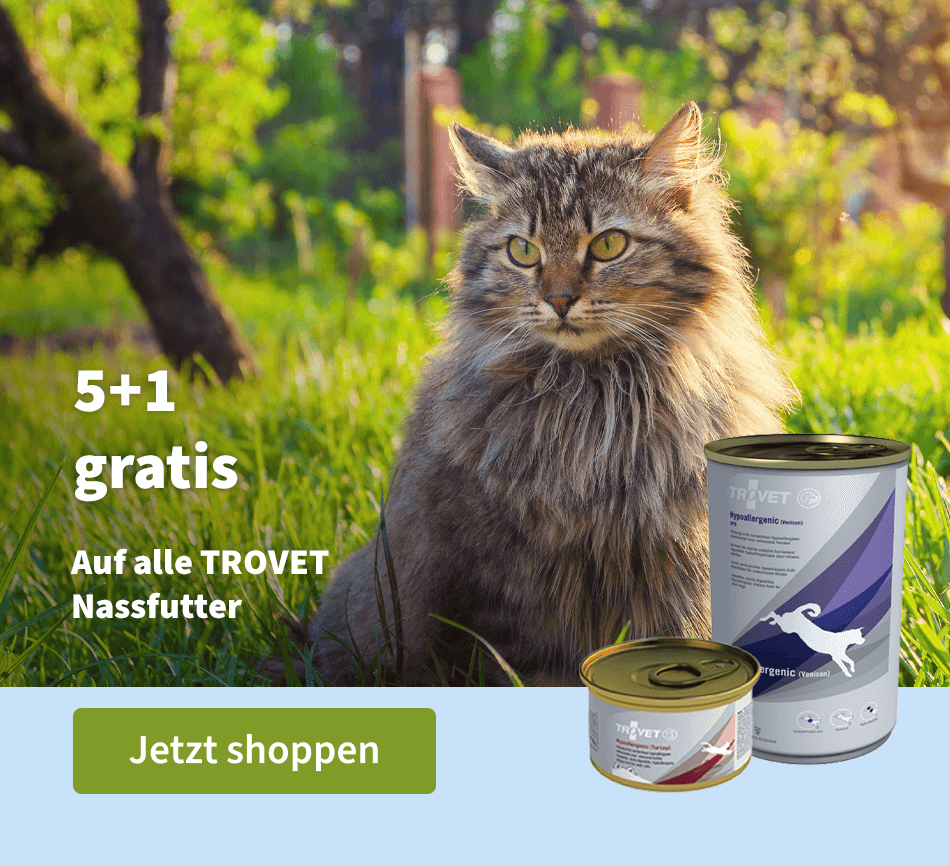 Trovet hoofdbanner - 5 + 1 gratis