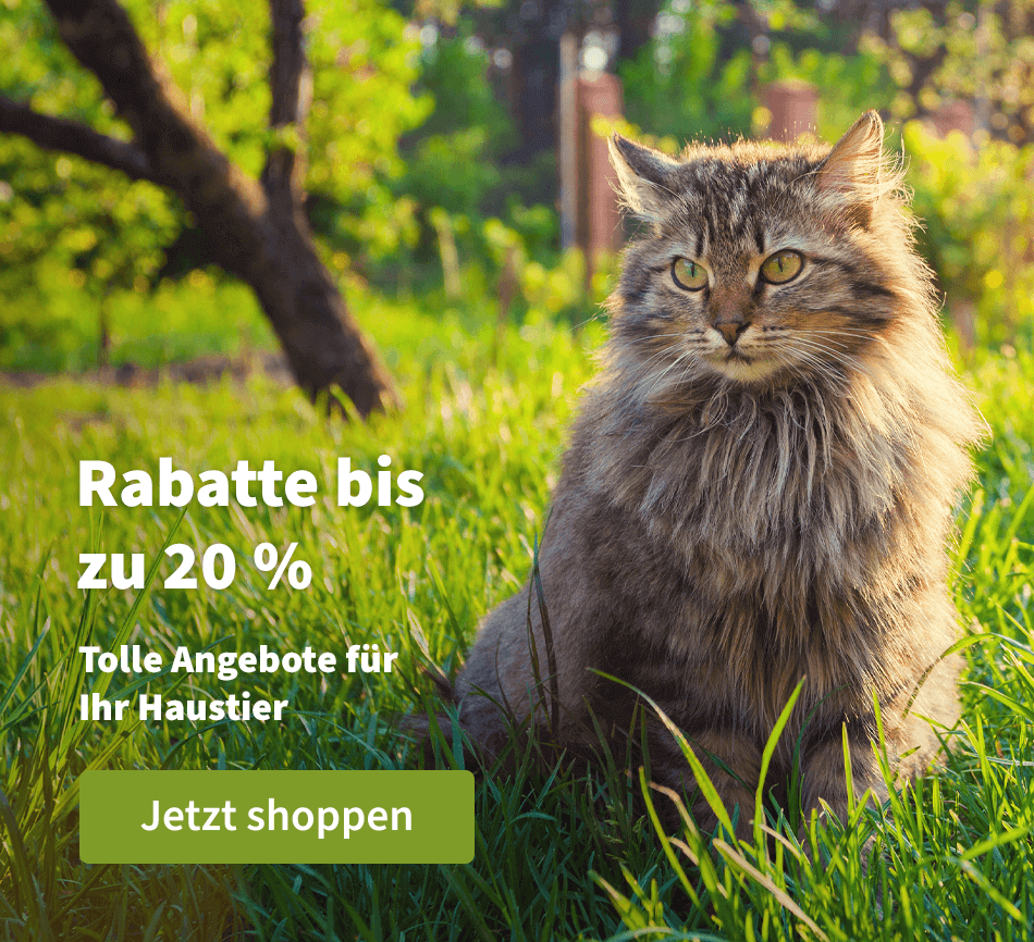 Rabatte biz zu 20 % - Tolle Angebote für Ihr Haustier