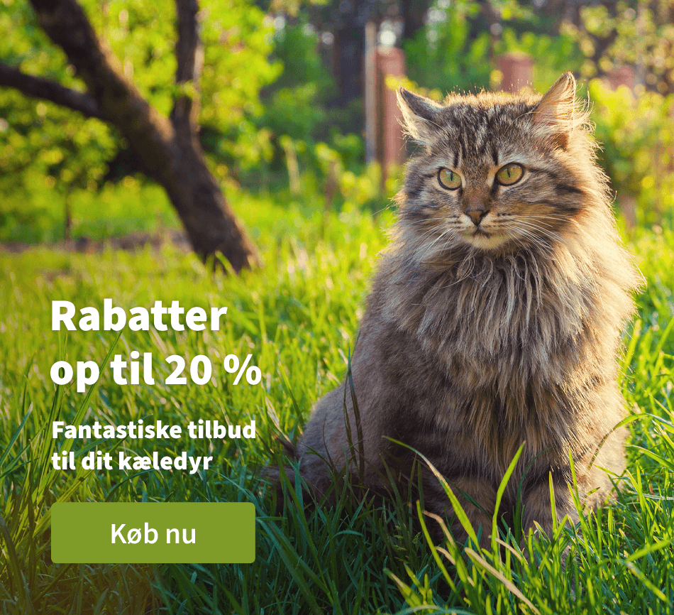 Rabatter op til 20 % - Fantastiske tilbud til dit kaeldyr