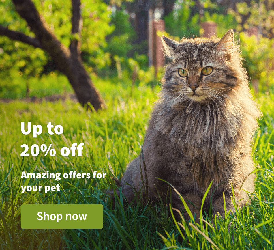 Discounts up to 20% - Amazing offers for your pet