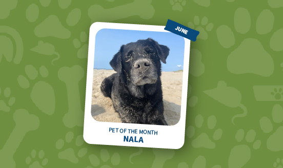 pet of the month june