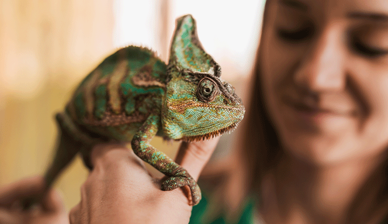 Vrouw houdt kameleon vast
