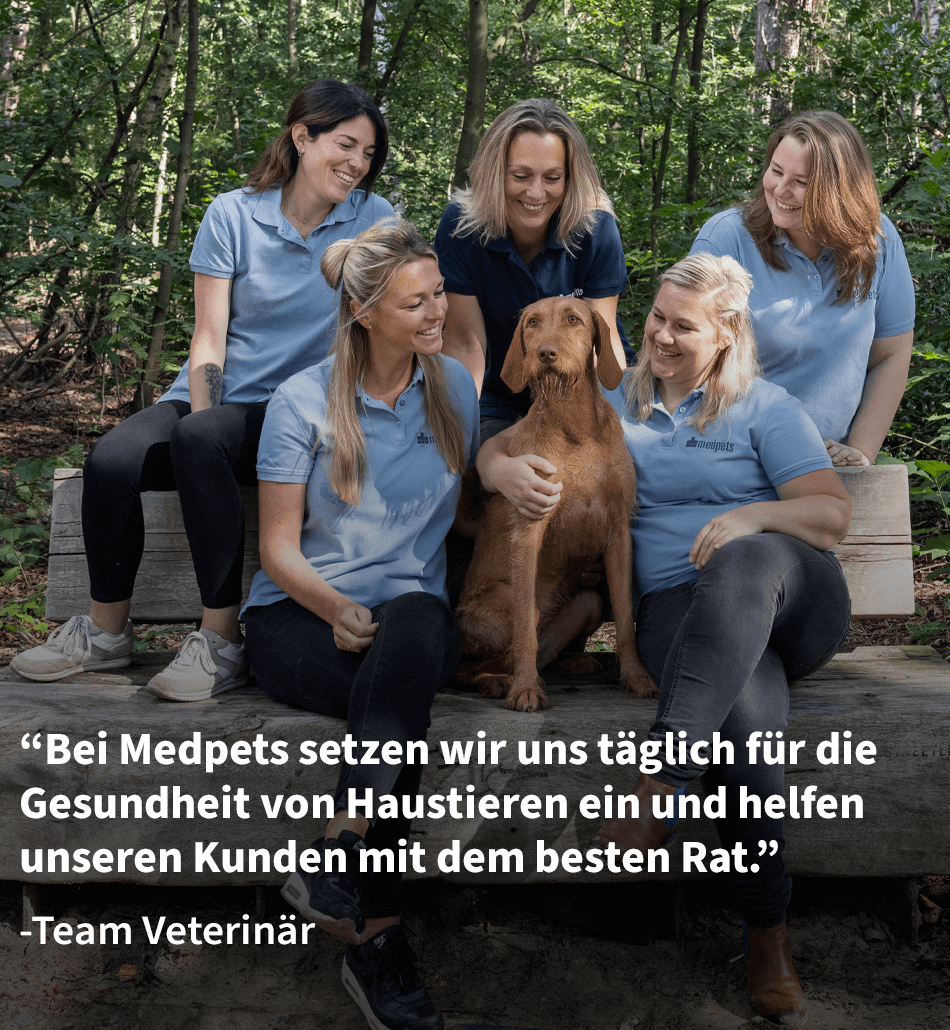 Medpets Team Veterinärmedizin