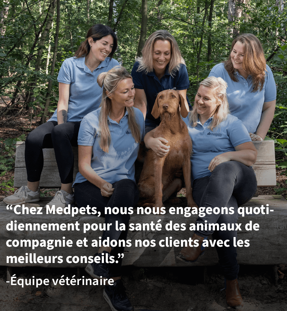 Équipe vétérinaire Medpets