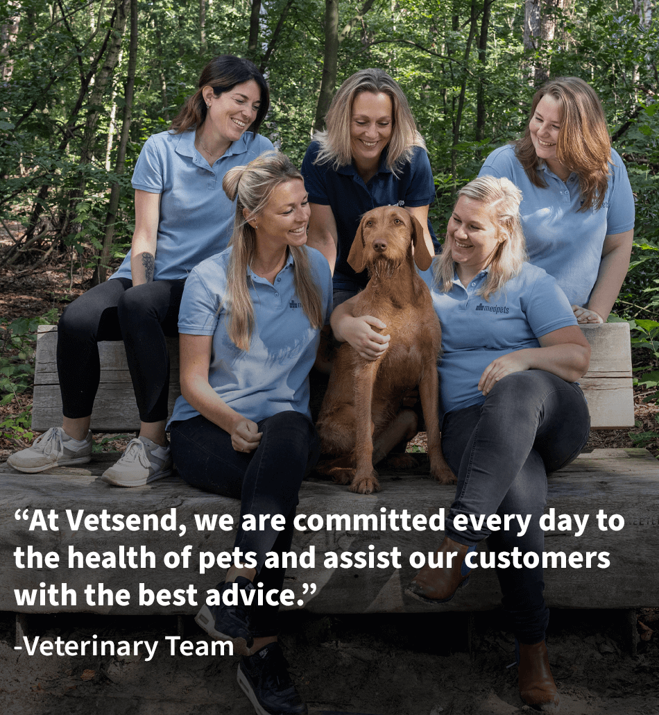 Medpets team vet