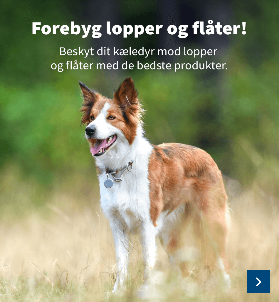lopper og flaater