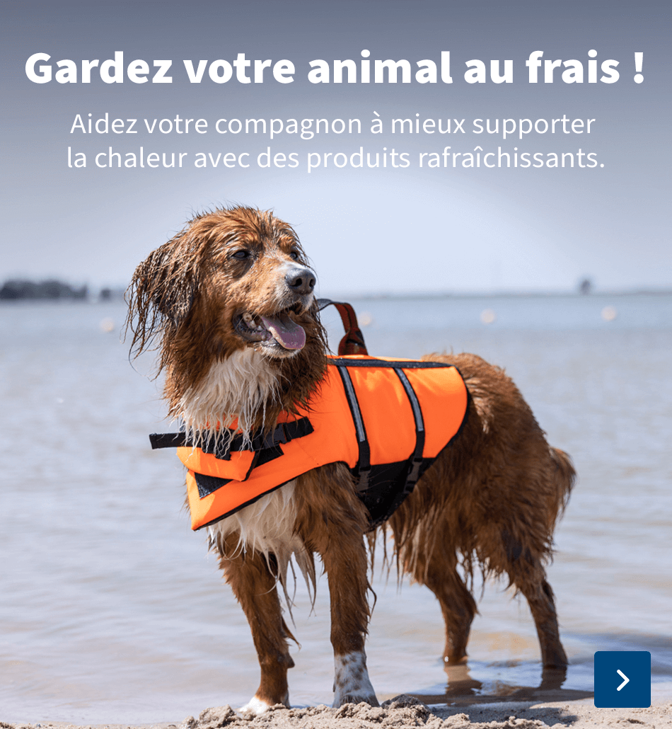 Rafraîchissement