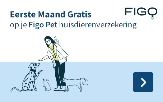 Figo