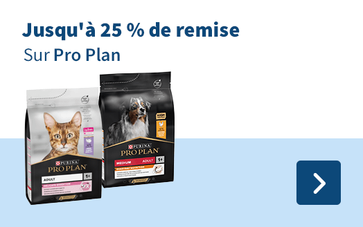 Pro Plan