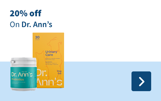 Dr. Ann's