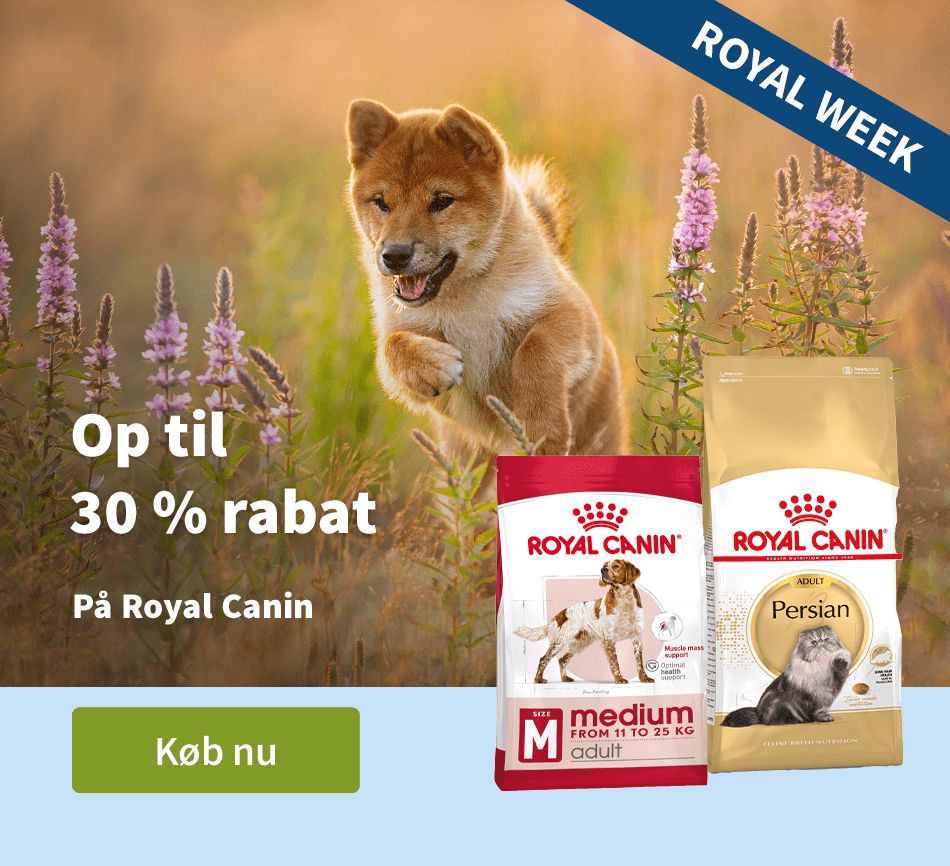 Op til 30 % rabat - Pa Royal Canin