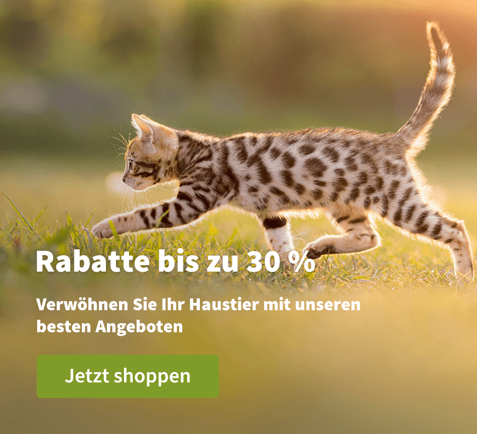 Rabatte bis zu 30 % - Verwöhnen Sie Ihr Haustier mit unseren besten Angeboten