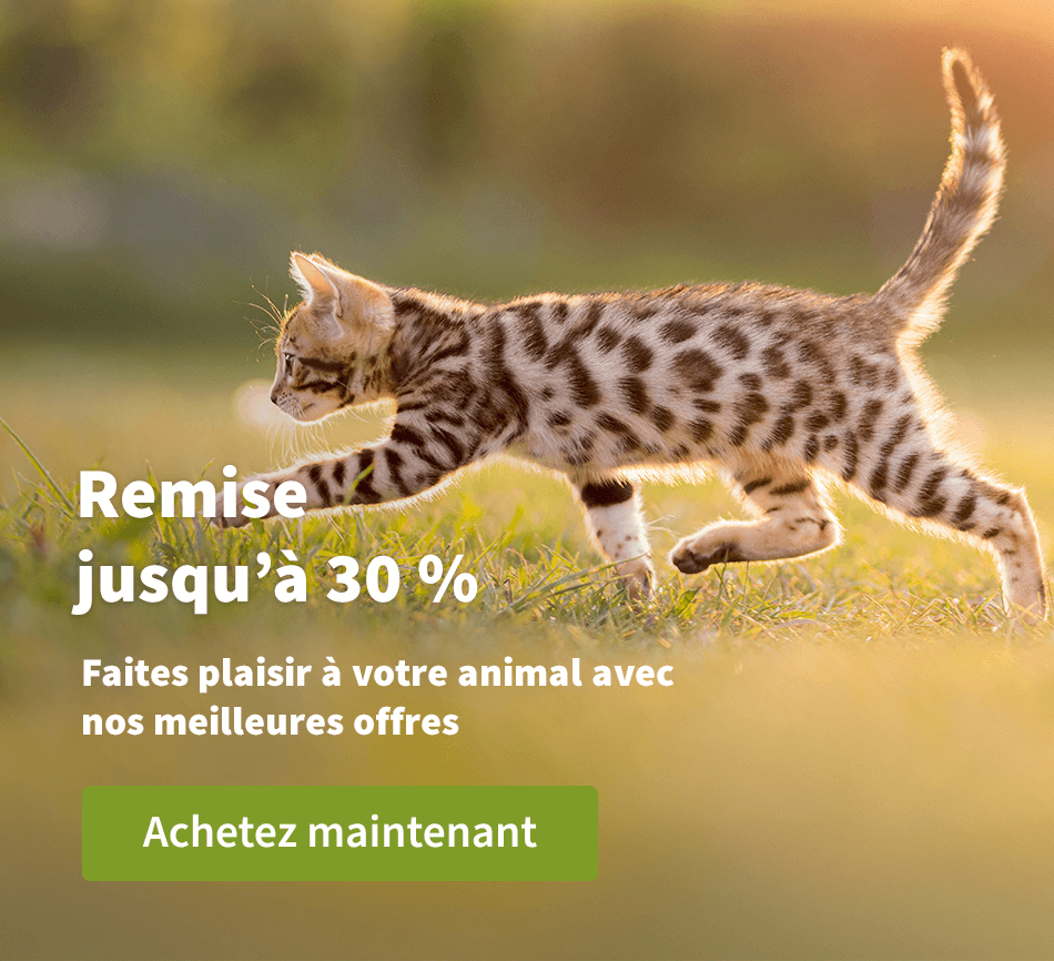 Remise jusqu'à 30 % - Faites plaisir à votre animal avec nos meilleures offres 