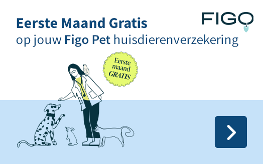 Figo 