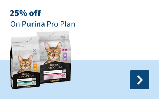 Pro Plan