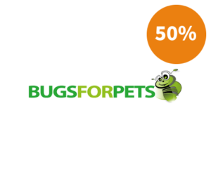 bugs-for-pets-50