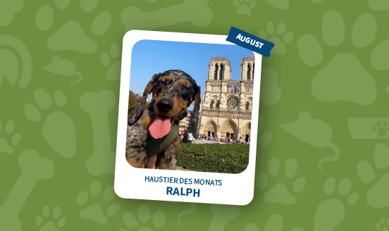 haustier des monats august