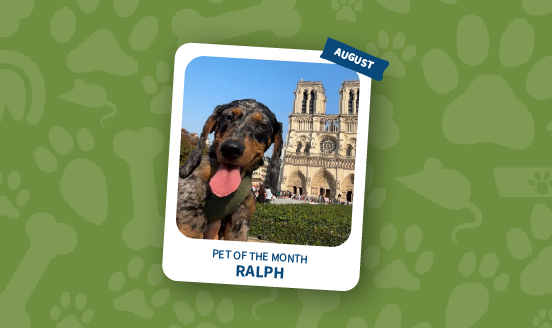 pet of the month august