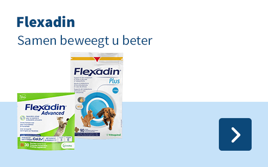 Flexadin, samen beweegt  u beter