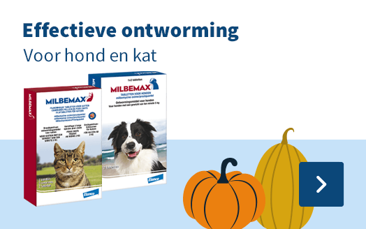 Effectieve ontworming, voor hond en kat